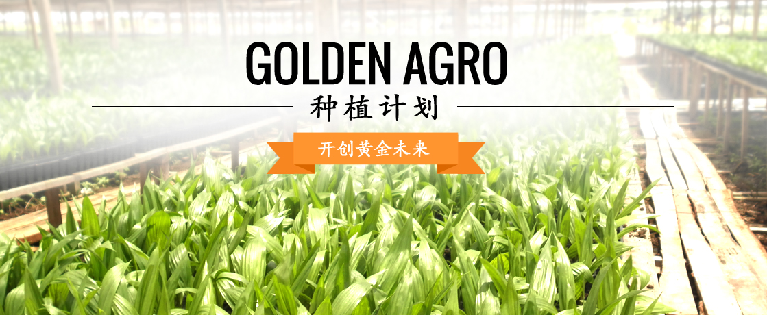 Slide3 - Chinese
